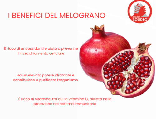 SALUTE NEWS: DURANTE L’INVERNO PREDILIGI IL MELOGRANO