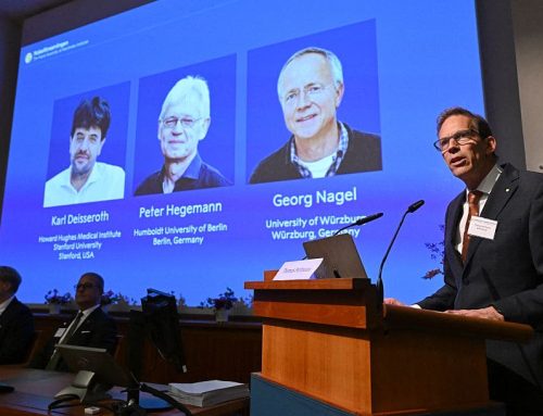 SALUTENEWS: NOBEL PER LA MEDICINA 2026