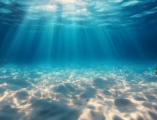 SALUTENEWS: GIORNATA MONDIALE DEGLI OCEANI